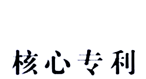 萊蕪市開始核心專利技術項目申報工作