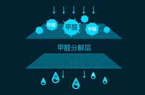新房裝修除甲醛專利