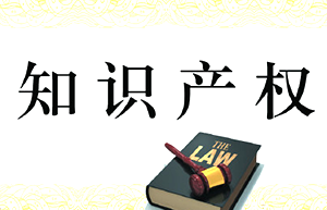 知識產權法“入典”受關注