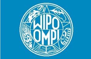 “IP5”會議協(xié)調(diào)彼此的專利實踐