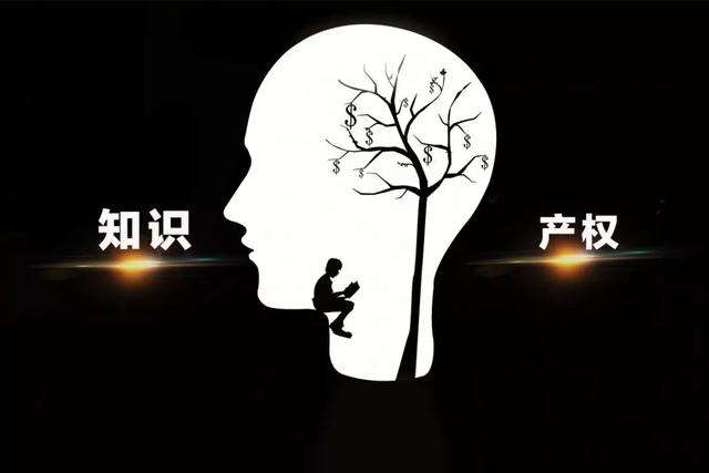 2019年浙江省專利創(chuàng)造擴(kuò)容提質(zhì)成效明顯